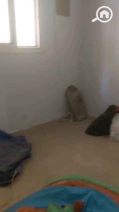 17 WhatsApp Video 2025-12-24 at 6.55. 06 PM_000049. jpg