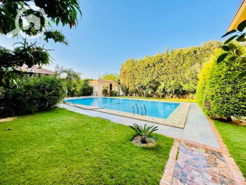 4 e57d2a16-9b01-47fc-9f68-2f60e25e0383. jpg