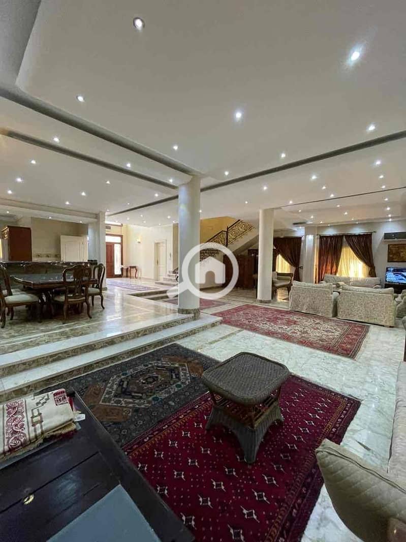 12 53deb15e-6e95-4fda-8c09-d882044912da. jpg