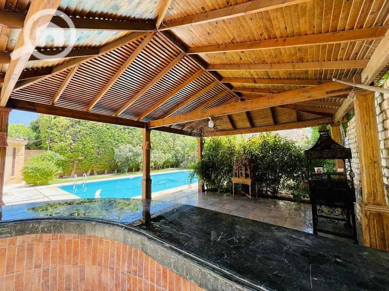 44 e12e3432-8732-4b95-af68-0411fde49da6. jpg