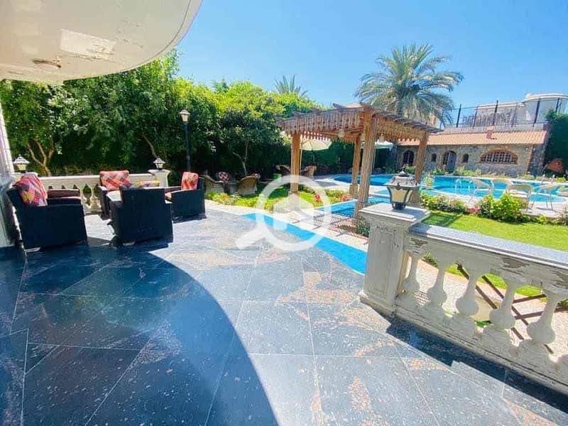 11 782aee8e-81c1-4fda-806d-9167cadc81c7. jpg