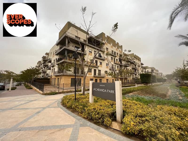 10 596336816_122137519700986996_6286232648866732660_n. jpg