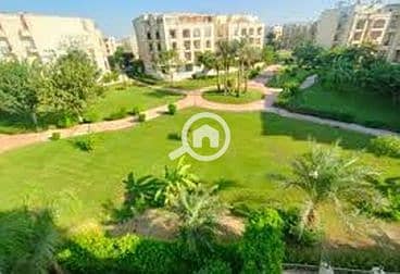 2 64a67861ef274269370084. jpeg