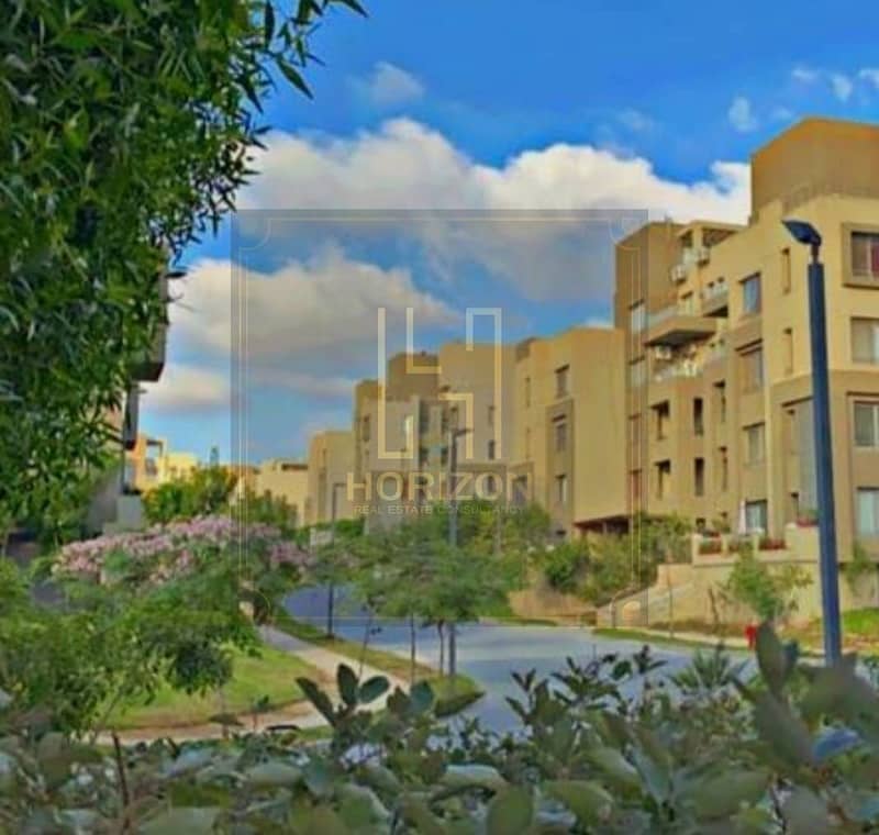 7 605118577_122149924022421192_1210685230402971213_n. jpg