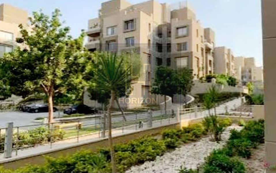 10 603888803_10162128637518144_754934567666160183_n. jpg