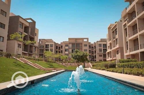 6 595989552_784327201296687_380405081704894521_n. jpg