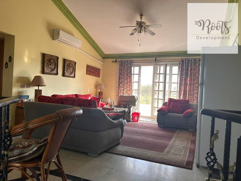 3 WhatsApp Image 2025-07-13 at 20.08. 00. jpeg