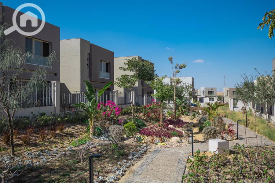 11 Badya Live Pictures Feb 2023. pdf-image-009. jpg