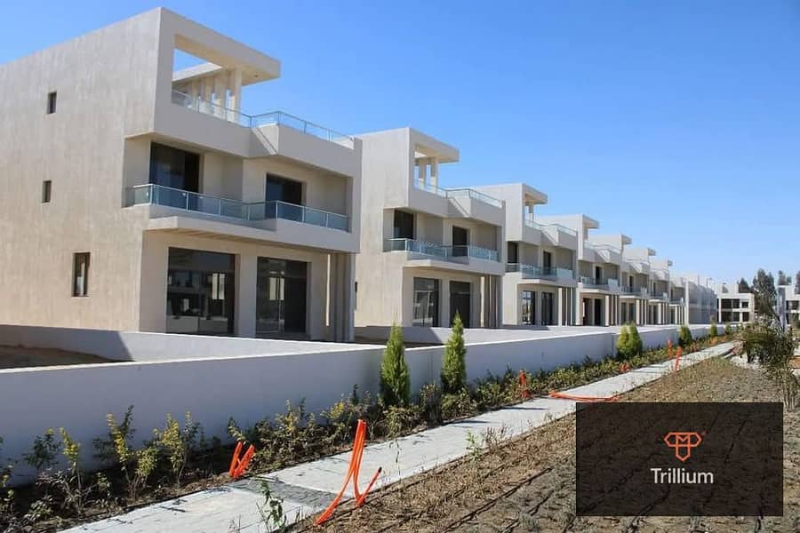 4 484044521_1721479855072087_8342447423580447615_n. jpg