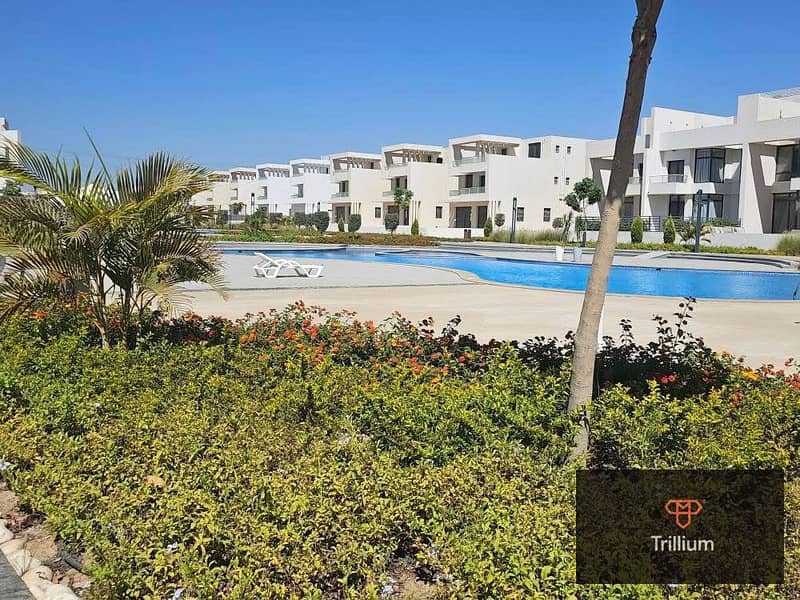 8 522127610_10233679567463756_1634522161051429370_n. jpg