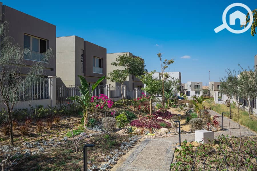 11 Badya Live Pictures Feb 2023. pdf-image-009. jpg