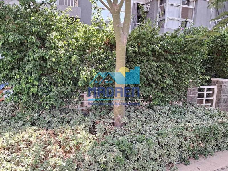 9 36a8c1d4-1909-4192-9f0a-0550ed8f1a55. jpg