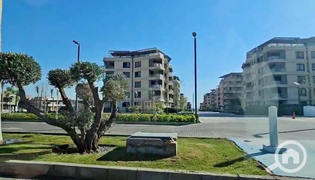 7 WhatsApp Image 2025-12-25 at 12.59. 42 PM (5). jpeg