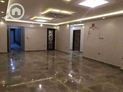 شقة 4 غرف نوم للايجار في المنيل، القاهرة - 110187. jpg شقة 4 غرف نوم للايجار في المنيل، القاهرة - 110187. jpg