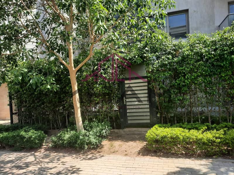 7 5933536442741099681. jpg