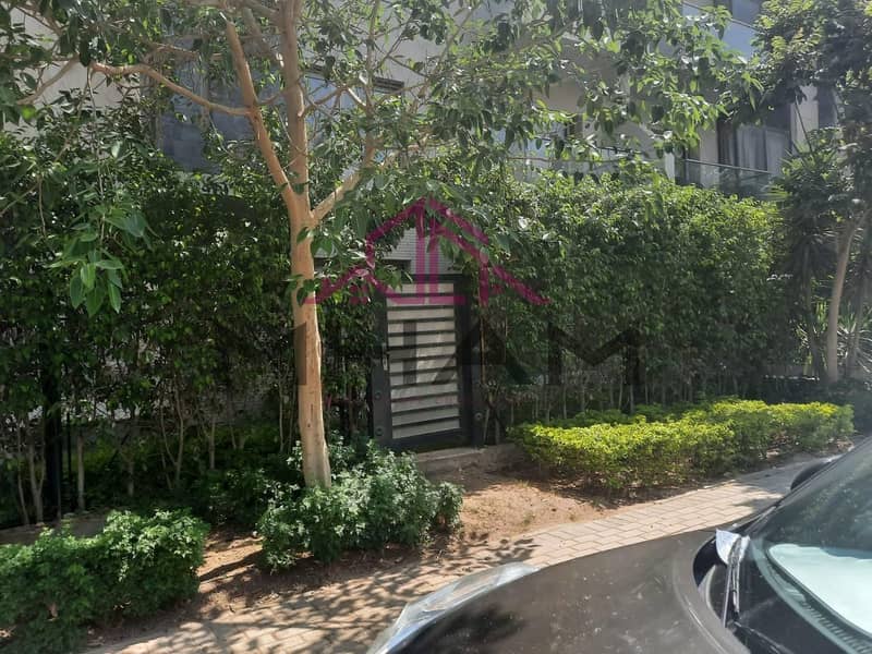 9 5933536442741099683. jpg