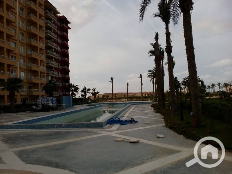 11 978f8eac-9e53-44fa-8913-81ec37d93158. jpeg