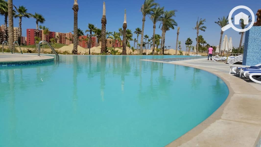 18 7e1975eb-0e20-4c06-90e9-4bebe1516c05. jpeg