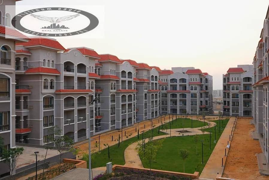 2 4918f1fd-5fff-49b5-8a2a-7aa0e2bcd5c2. jpg