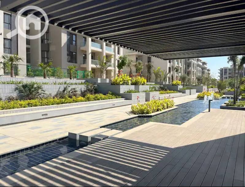 12 441935970_3690064621321951_1805461705950092270_n. jpg