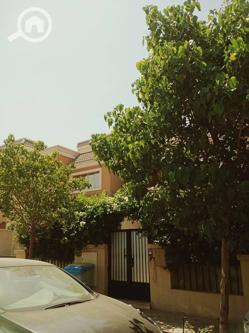 10 photo_2025-07-17_01-08-43 (2). jpg