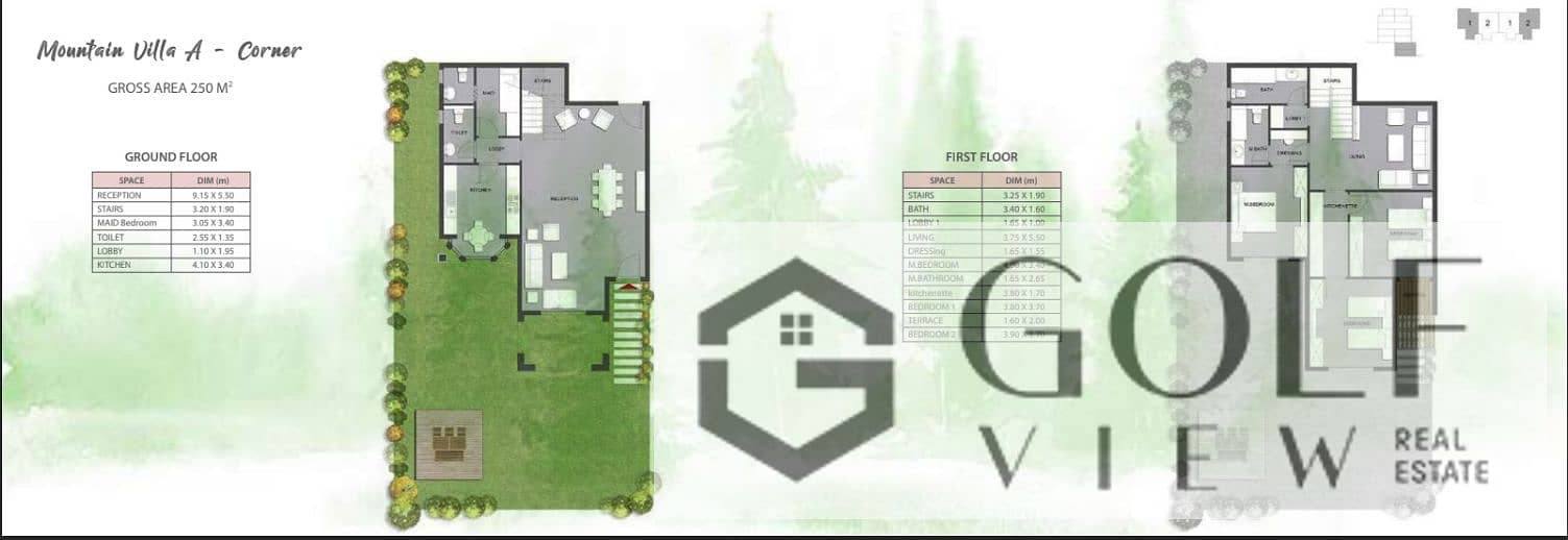 16 اى فيى 250 م - Copy. PNG