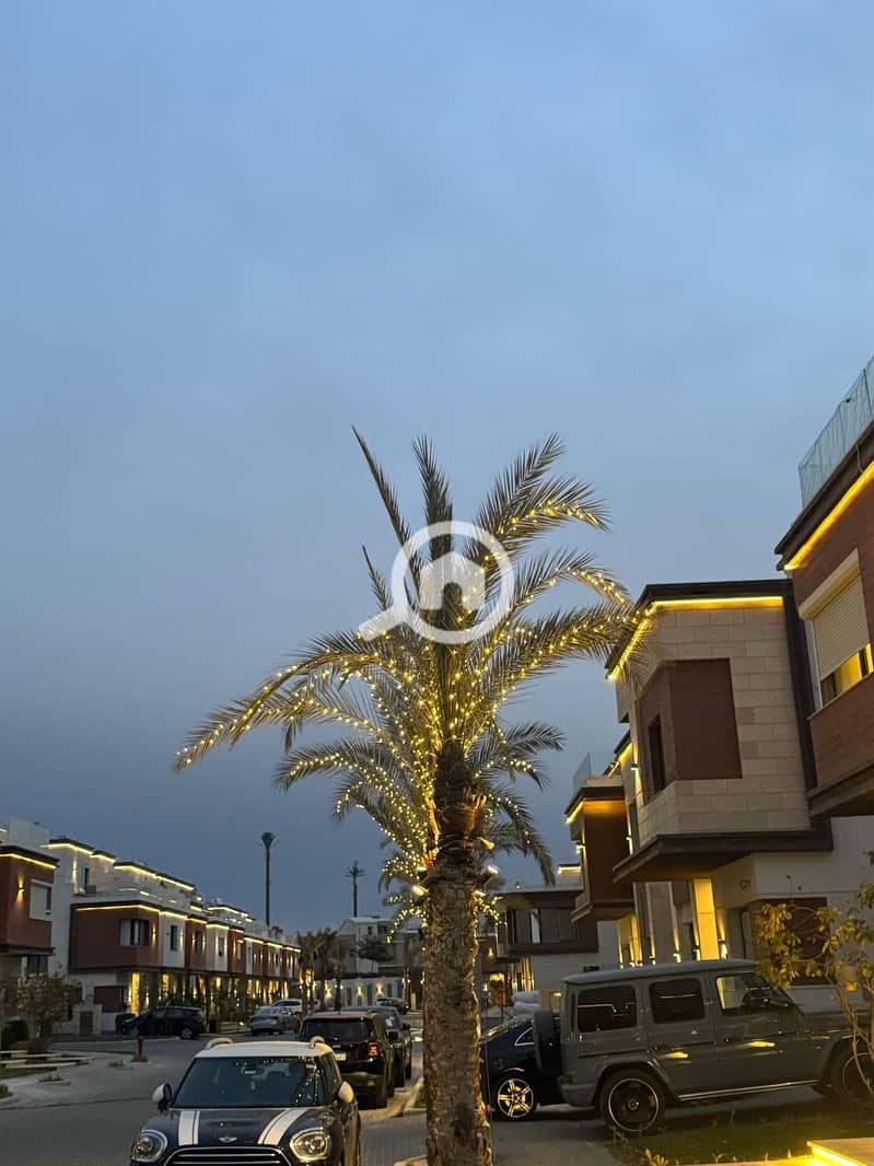 4 484189289_3842475805898296_219579597965928843_n. jpg