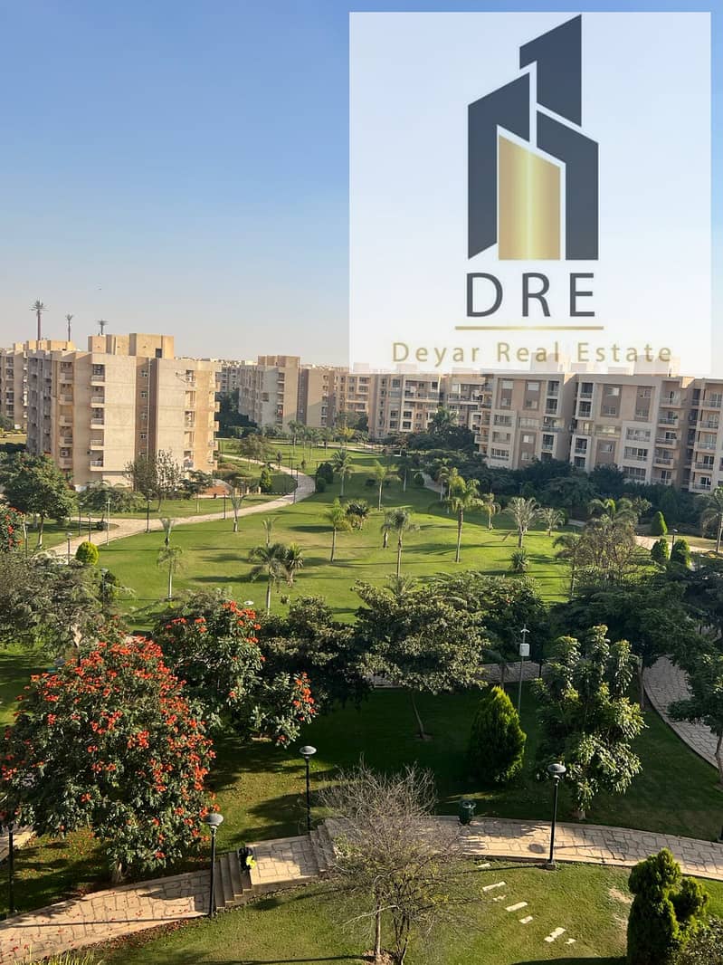 11 af0d7d1e-095e-4cf3-b74f-fd938d1fc65e. jpg