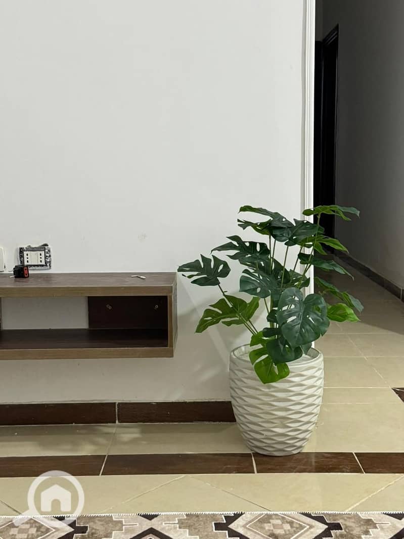 3 WhatsApp Image 2025-12-22 at 3.22. 54 PM. jpeg