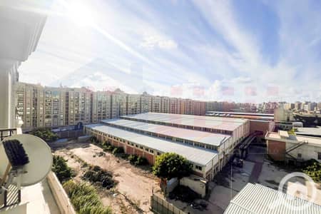 3 Bedroom Flat for Sale in Smoha, Alexandria - WhatsApp Image 2025-12-23 at 11.03. 41 (2). jpg