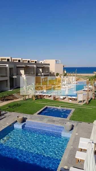 2 sv5tVh9smxi3ju4xy63Ldc4KAqtNv81HuzsBar0B (1). jpeg