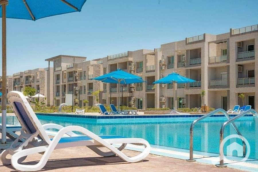 4 WhatsApp Image 2025-12-23 at 12.38. 01 PM (1). jpeg