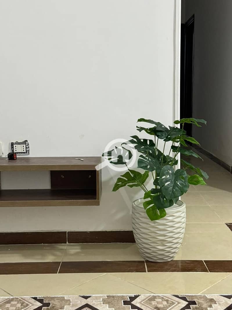 15 WhatsApp Image 2025-12-22 at 15.22. 54. jpeg