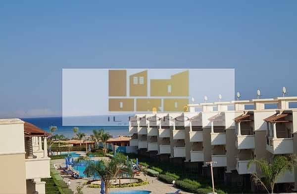 12 2w45z6sFQTiIdYVlIHfvyMeyh2oOxV2wT8W2oTVa. jpeg