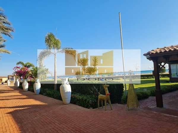 16 5mAiEjZbHzRzgLiLQazOTH16pNta0XcKDC3kvncE. jpeg