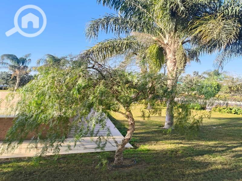 3 WhatsApp Image 2025-12-24 at 14.06. 06. jpeg