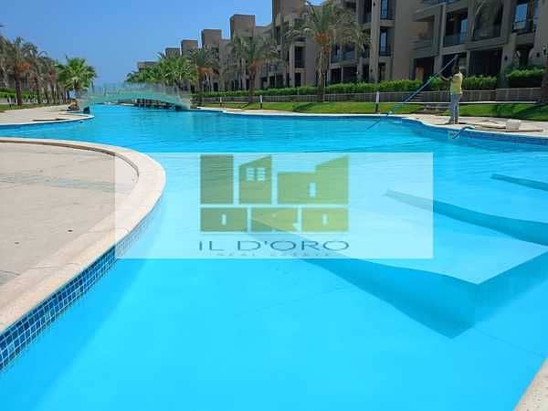 3 lbgfLg3eK36XV5kqzAzVgd25K2cGM5r1VaoScMyu. jpeg