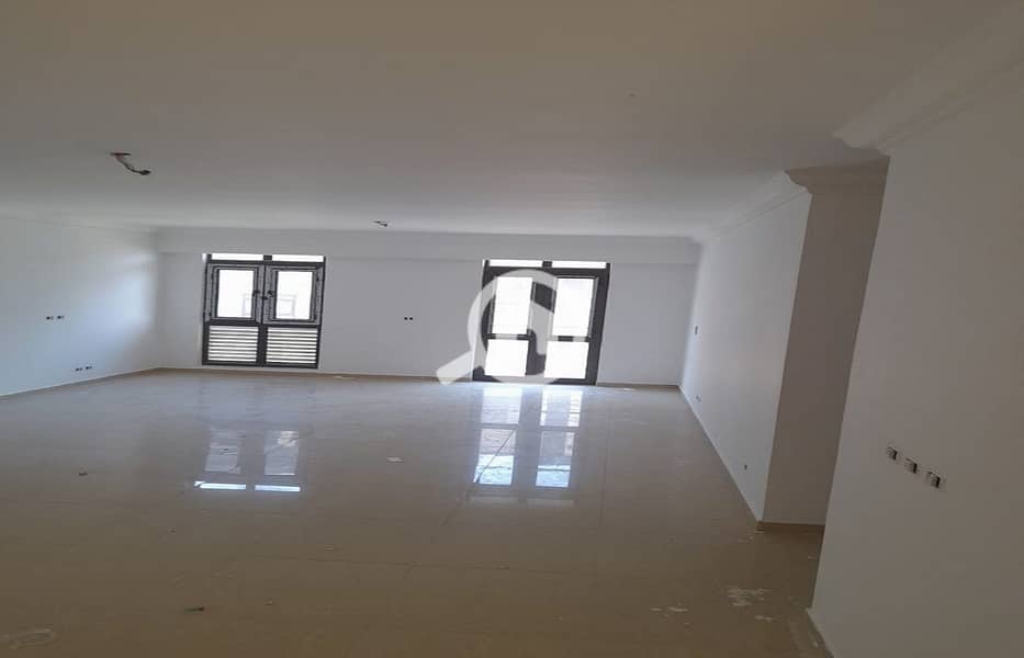 3 36ba5662-916f-4c1f-a81f-98549574d7d9. jpg