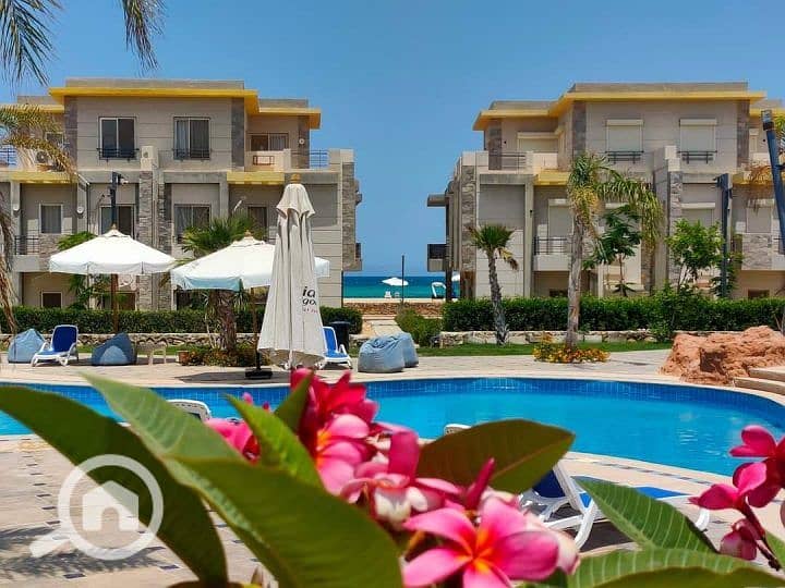 6 كورنادو-الساحل-الشمالي-720x540. jpg