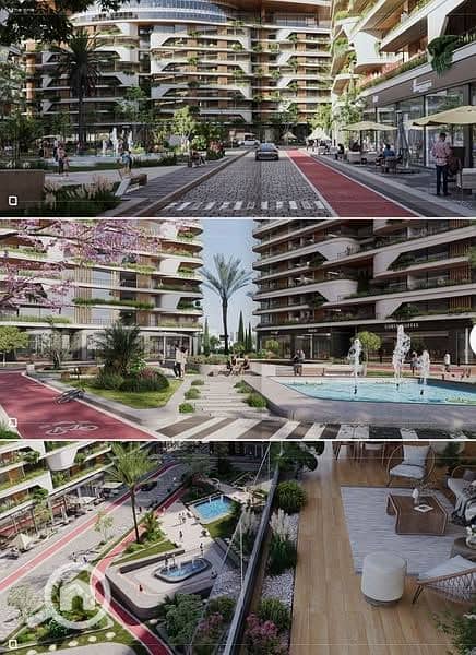 6 508973214_122148656978396007_5735083281647924733_n. jpg