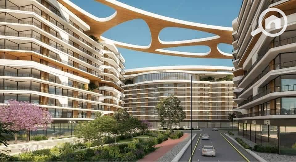 18 IMG-20250811-WA0043. jpg