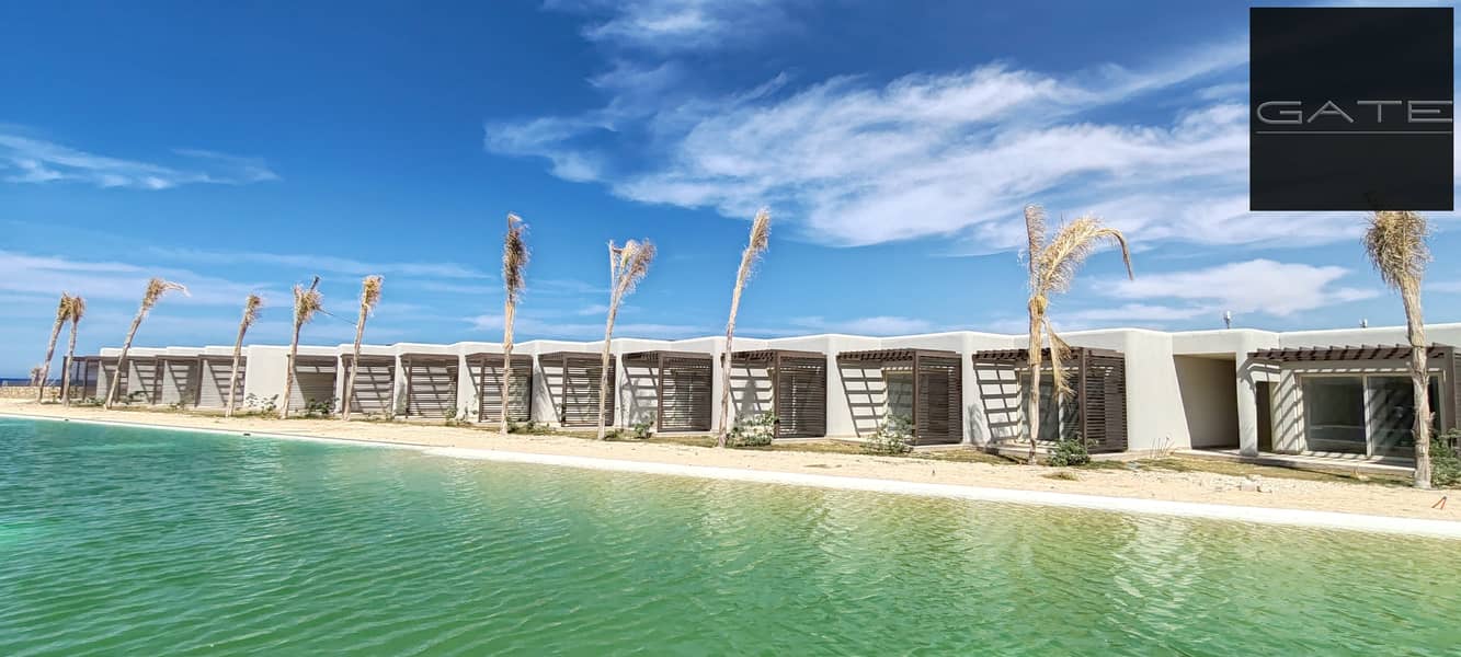 2 PHOTO-2025-06-09-15-52-53. jpg