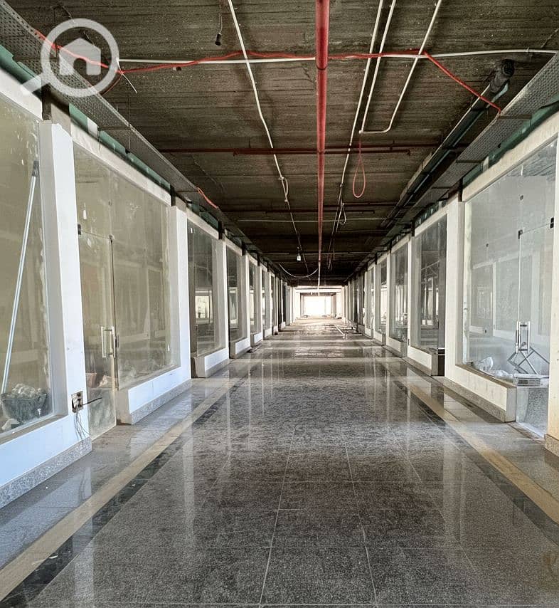 8 Generated Image September 15, 2025 - 2_26PM. png