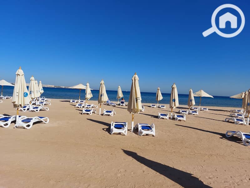 10 20241223_134336. jpg