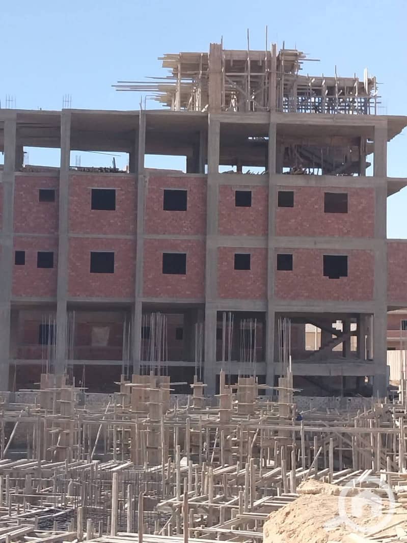 3 dc0afc75-10ed-44dd-9e05-27bc4d484b20. jpg