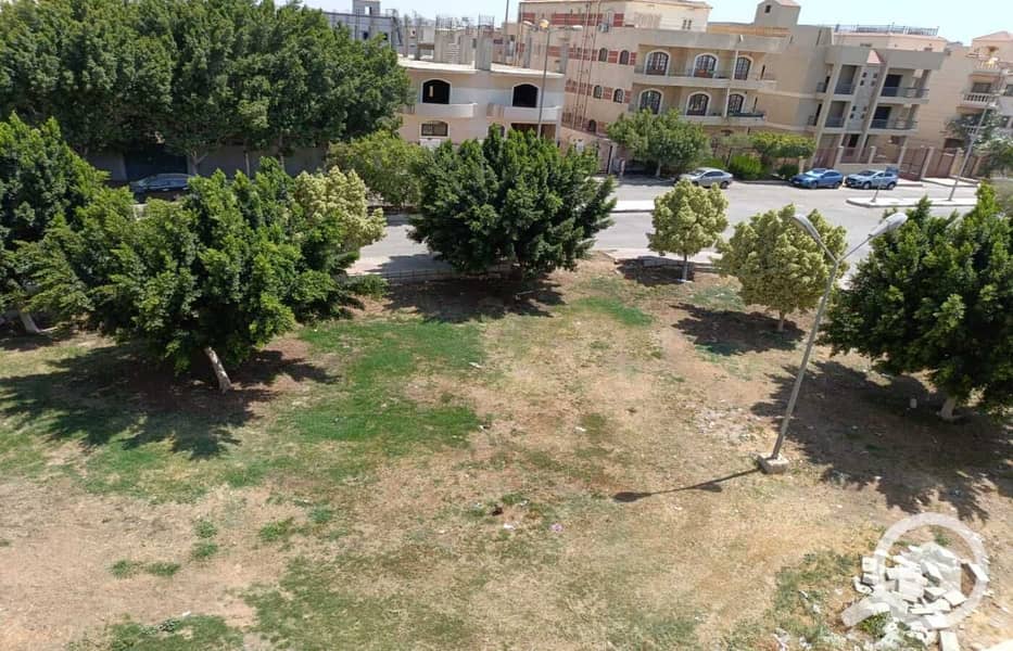 5 WhatsApp Image 2024-08-12 at 11.13. 35(1). jpeg