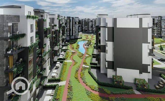 5 Venia-New-capital-6. jpg