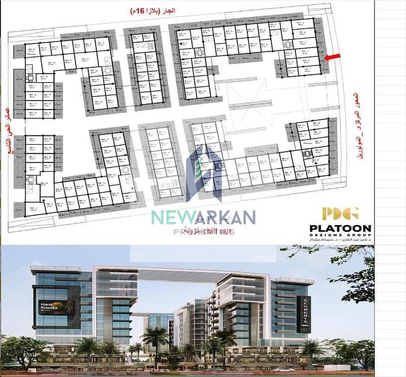 4 WhatsApp Image 2025-06-21 at 11.17. 24 AM. jpeg