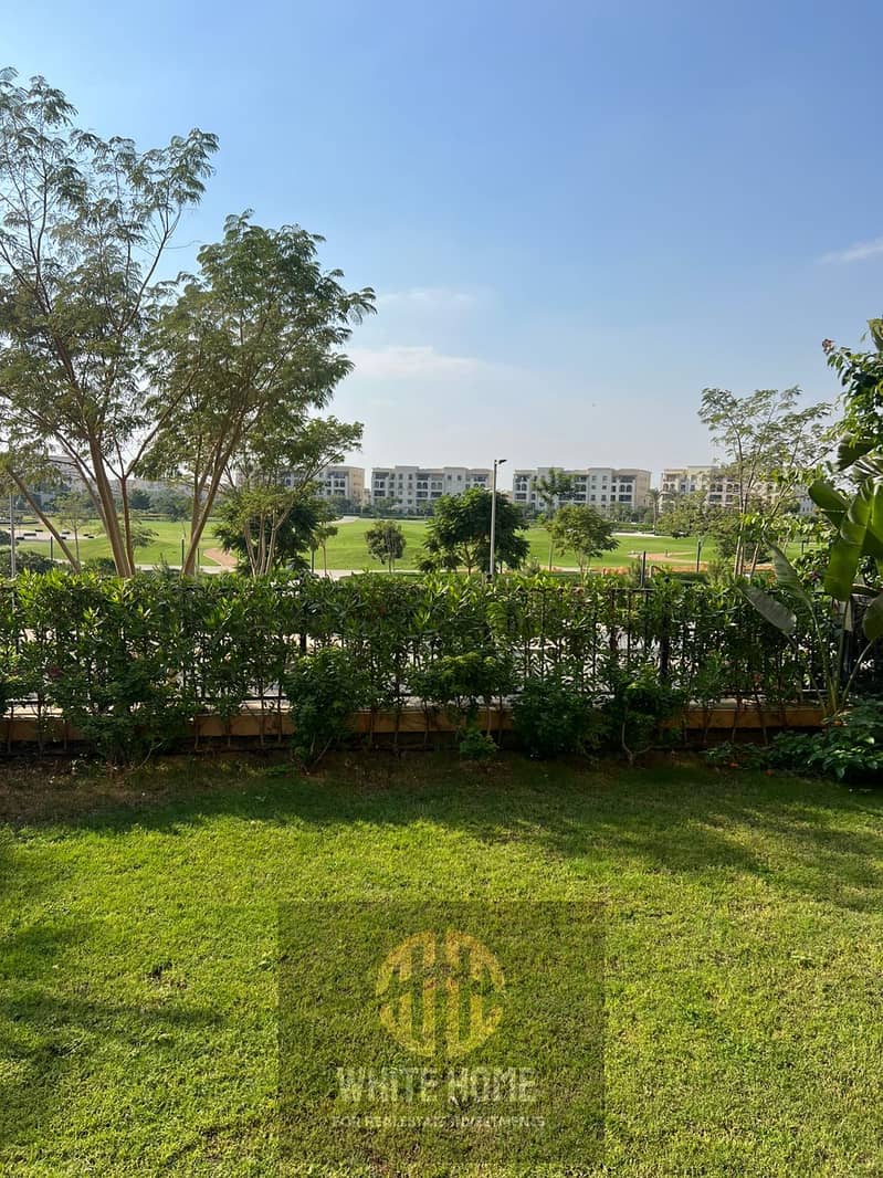 5 250b5cd2-0546-48ee-a88a-df8eed7c1128. jpeg