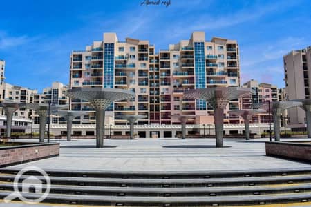 3 Bedroom Flat for Sale in North Coast, Matruh - WhatsApp Image 2025-05-29 at 5.06. 40 PM. jpg